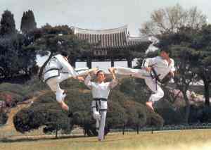 taekwondo-itf-1 (choi)
